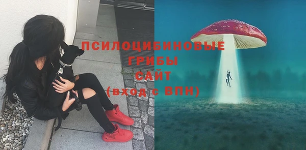 экстази Зеленокумск